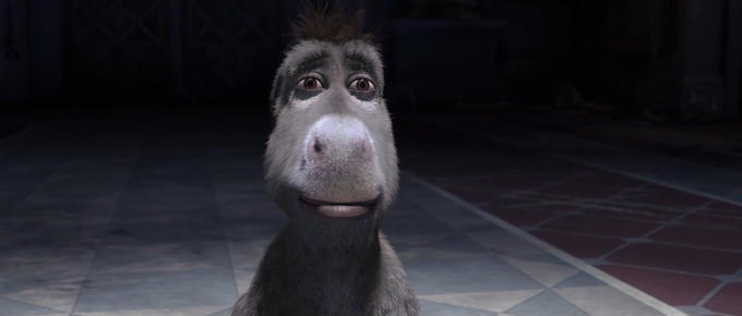 donkeystare